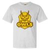 Heavyweight Ring Spun Tee Thumbnail