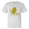 Heavyweight Ring Spun Tee Thumbnail