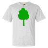 Heavyweight Ring Spun Tee Thumbnail